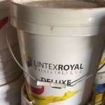 Water Paint Large (Deluxe)
