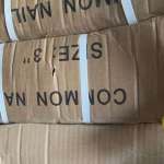 Wire Nail (Carton)